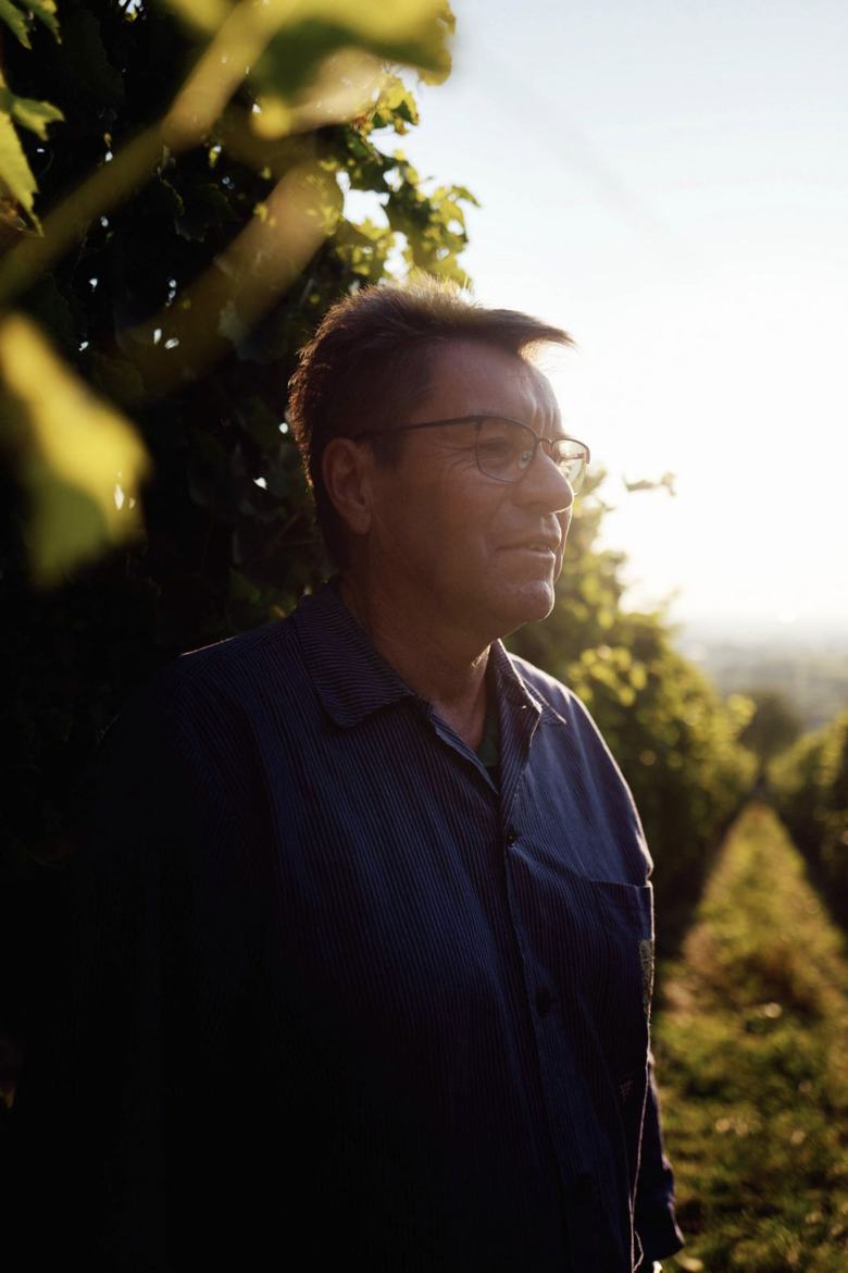 Winzer im Abendlicht am Rand des Weinbergs