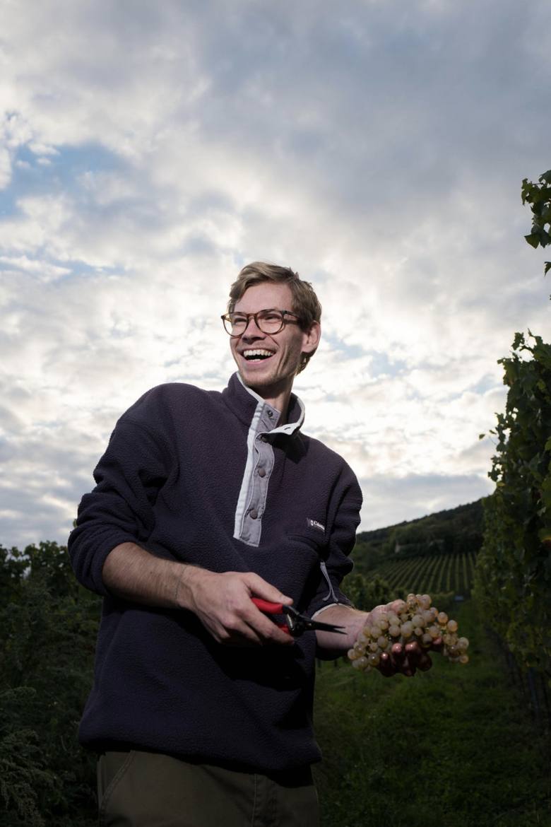 Junger Winzer lachend mit Trauben und Rebschere