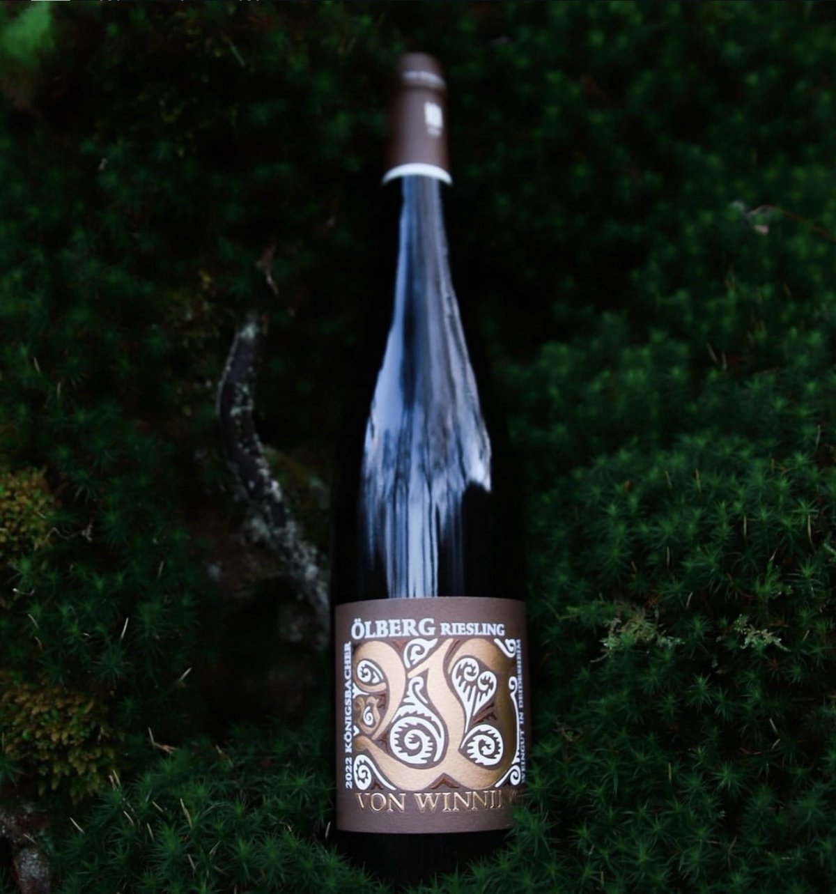 Ölberg Riesling auf Moos