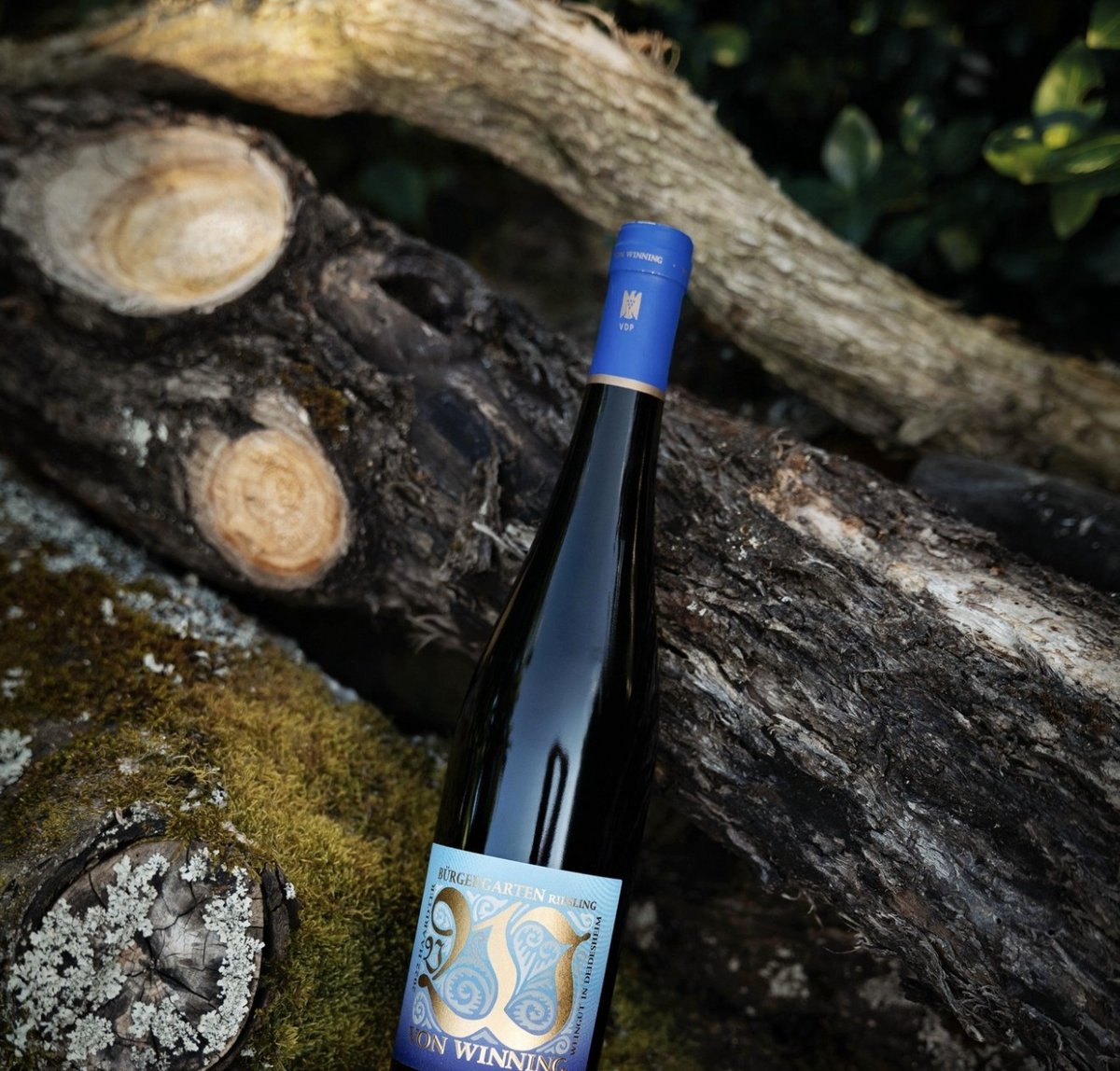 Bürgergarten Riesling Erstes Gewächs auf Holz
