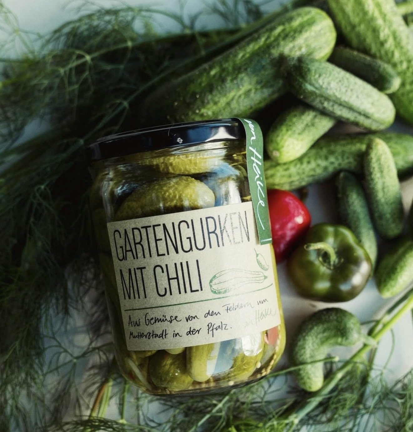 Gartengurken mit Chili im Glas, umgeben von frischen Gurken