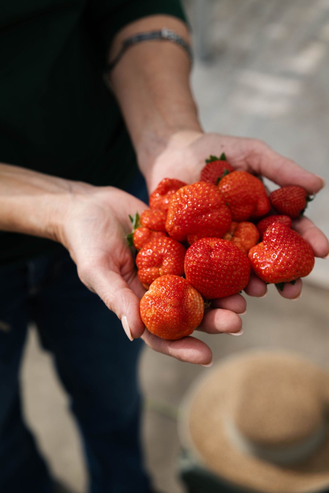 Hände voller frisch geernteter Erdbeeren