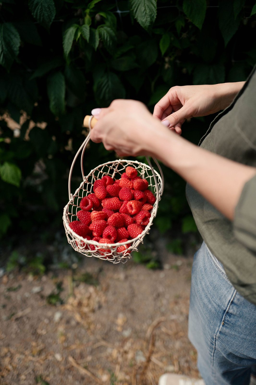 Korb mit frischen Himbeeren