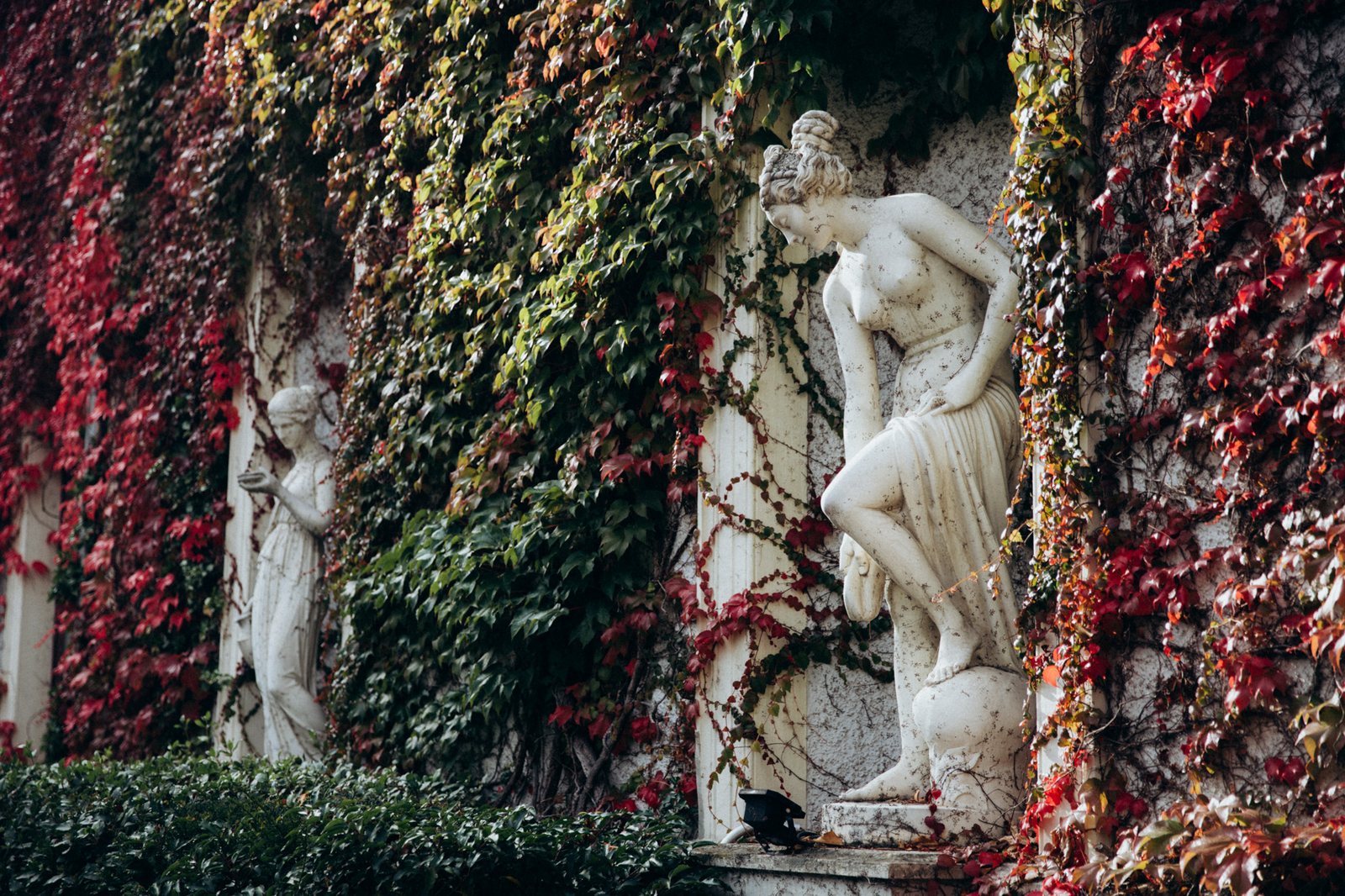 Statue im herbstlich roten Wilden Wein