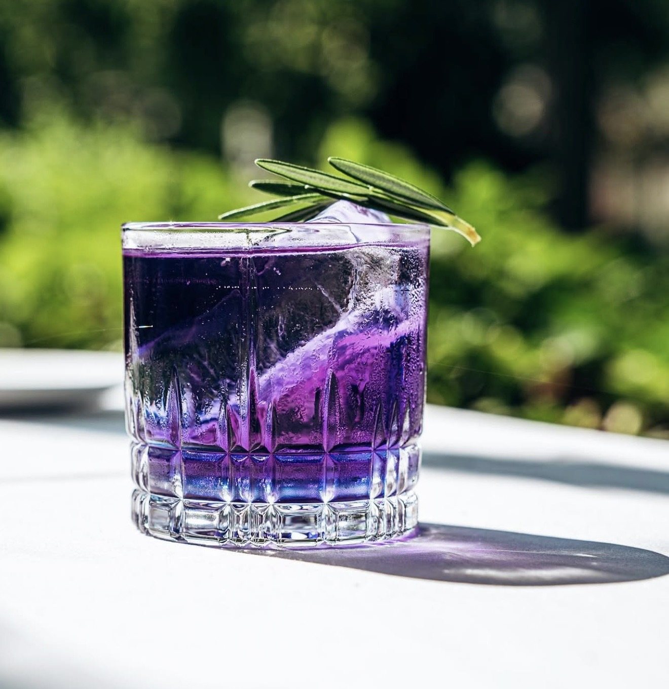 Violetter Cocktail im Grünen