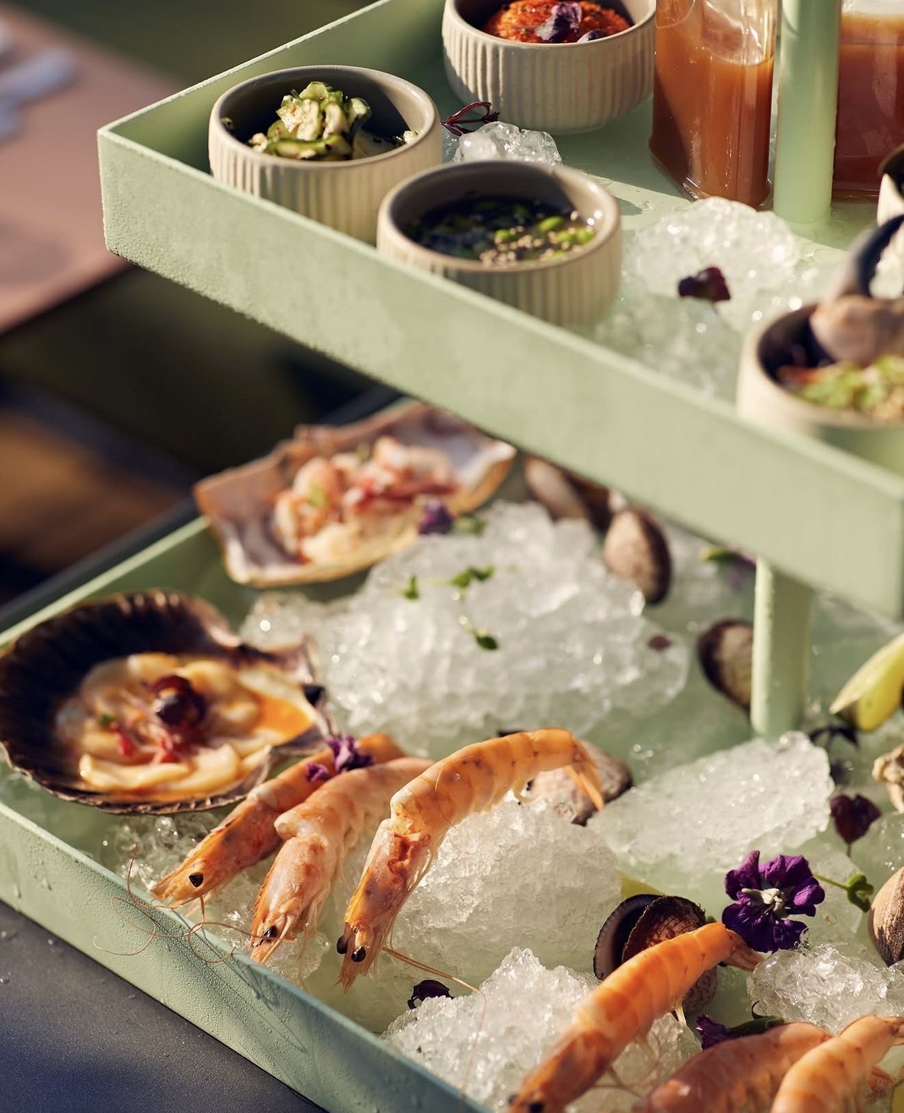 Sashimi-Box auf Eis